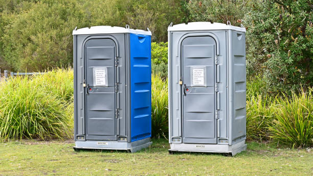 Best Portable Toilets with Baby Changing Stations  in Renovo, PA